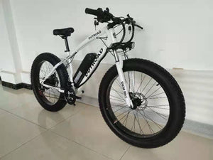 Zeda Outroad Fat Tire E Bike.